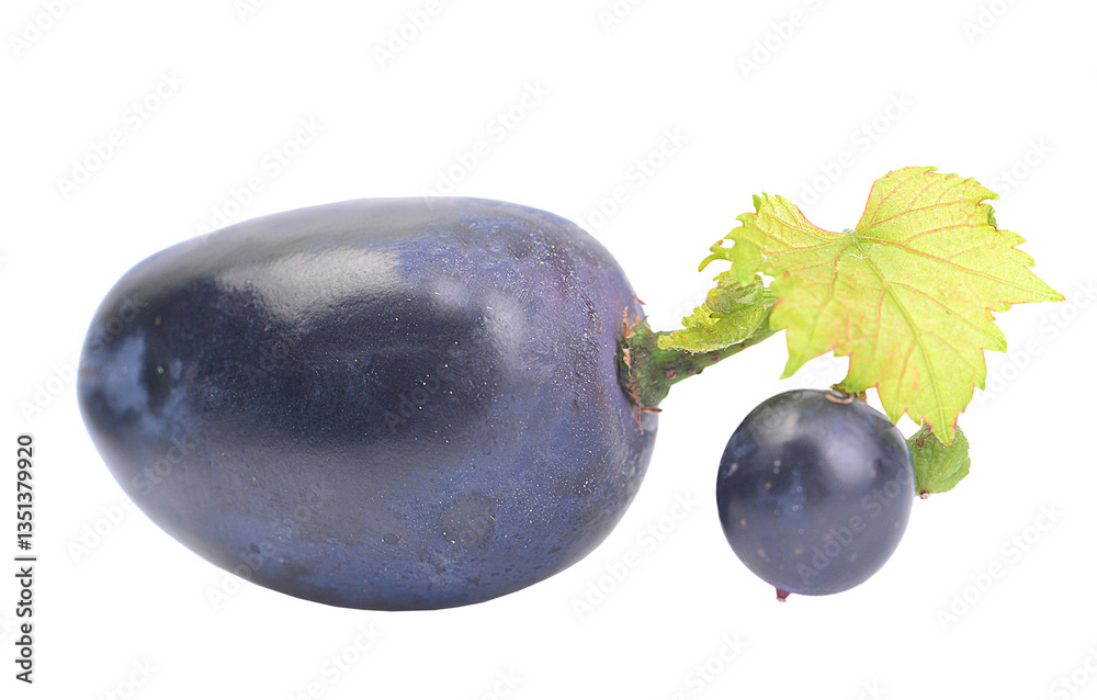 Grape fruit isolated