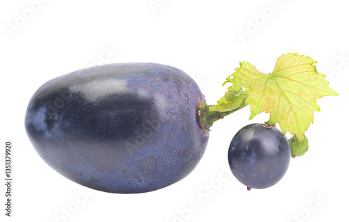 Obraz na płótnie Grape fruit isolated w salonie