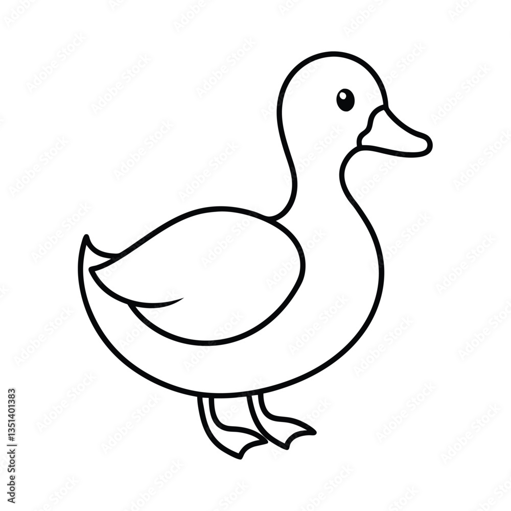 duck isolated on white duck isolated on white