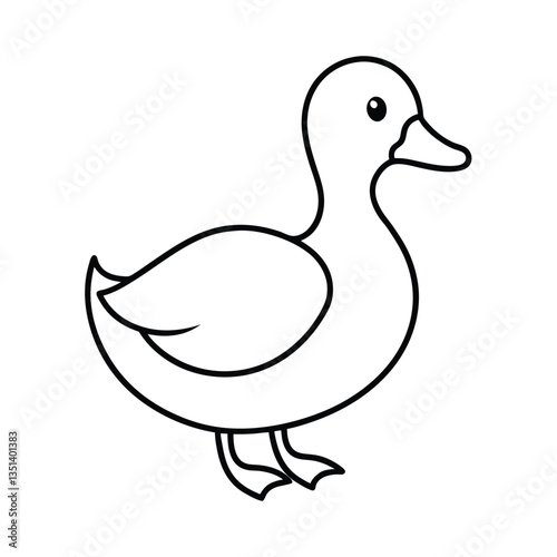 duck isolated on white
