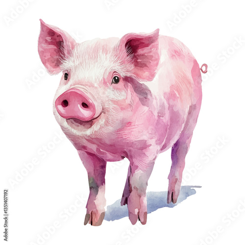Watercolor pig, clipart, white background