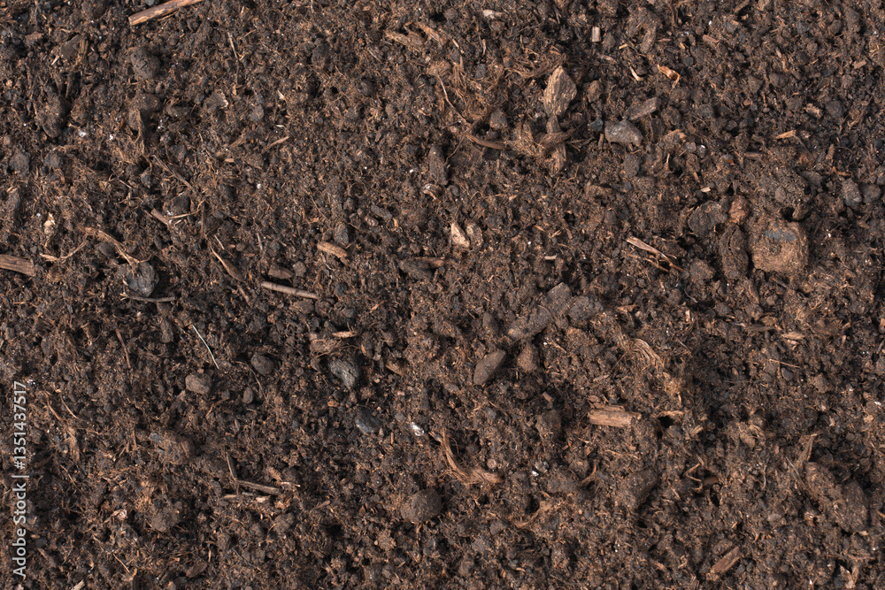 Close-up of rich, dark soil with organic matter and small particles, perfect for gardening, agriculture, and environmental themes. The detailed texture showcases natural elements Close-up of rich, dark soil with organic matter and small particles, perfect for gardening, agriculture, and environmental themes. The detailed texture showcases natural elements