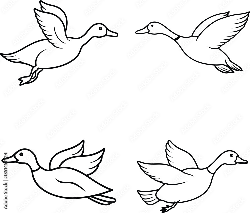 Fototapeta premium duck, ducks, cartoon duck, duck outline, duck drawing, black and white duck, vector duck, duck clipart, duck line art, duck contour, animal outline, farm animal, cute duck, baby duck, duck doodle, chi