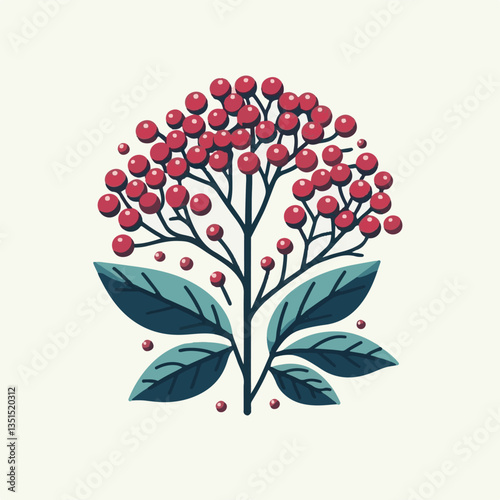 black, elderberry, berry, nature, healthy, herbal, branch, fruit, elder, fresh, organic, sambucus, food, botanical, background, wild, natural, green, plant, leaf, juicy, medicine, ripe, twig, red, ber