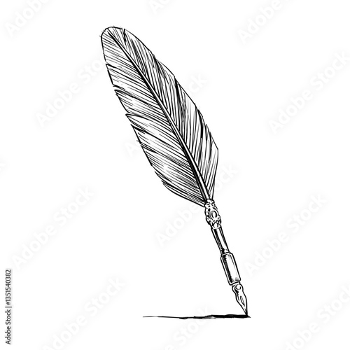 feather quill pen antique vector line art hand drawn illustration