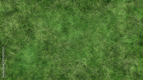 Lush green grass texture, aerial view, background for design