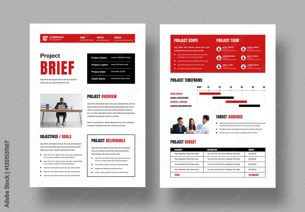 Project Brief Template Layout Stock Template | Adobe Stock