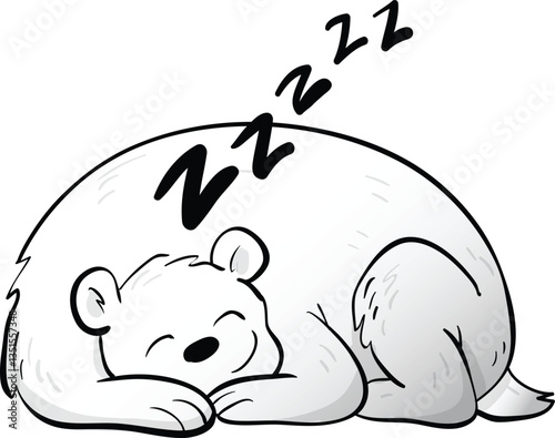 polar bear sleeping