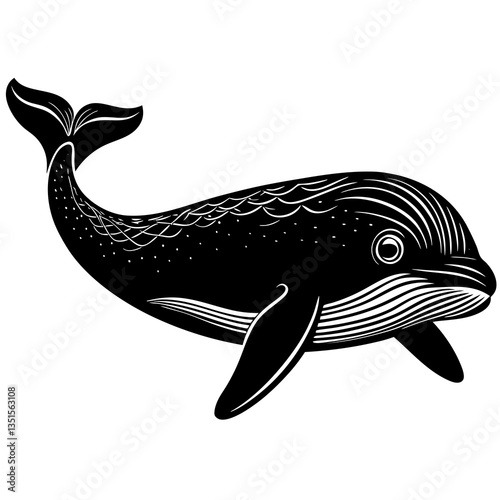 vector illustration of a beluga whale fish