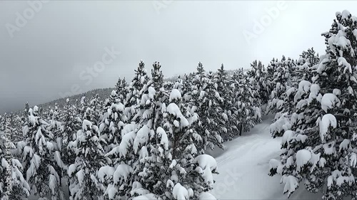 Aerial view of a completely snowy landscape on a winter day