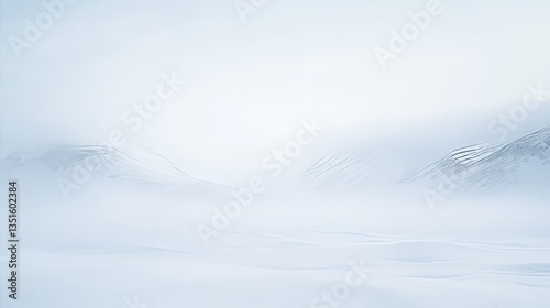 Wallpaper Mural A whiteout blizzard covering the Arctic landscape. Torontodigital.ca
