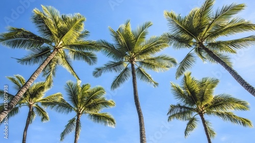 Wallpaper Mural Tropical Palm Trees from Ground View with Blue Sky Background, Perfect for Instagram Story or Phone Wallpaper, Capturing Exotic Vacation Vibe Torontodigital.ca