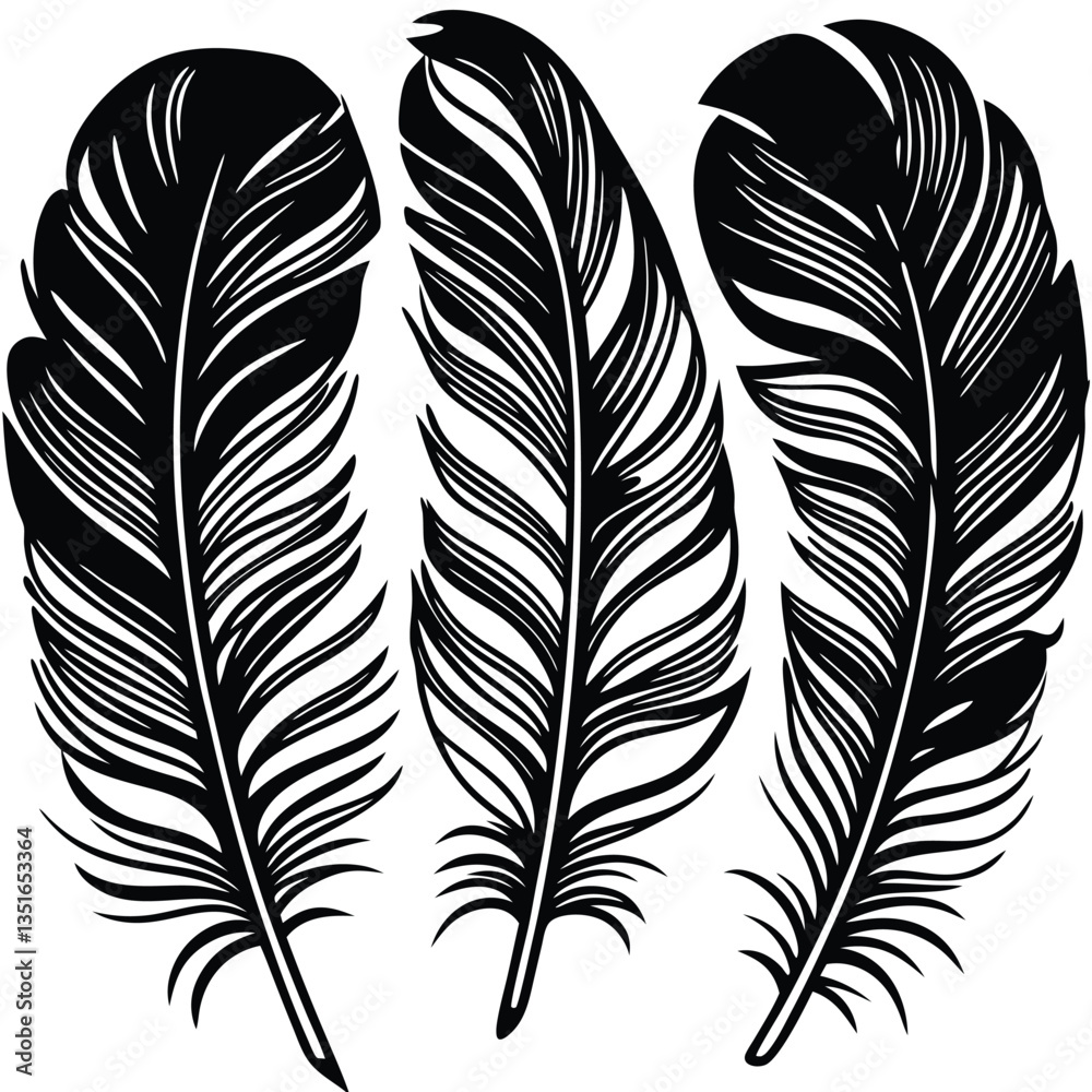 Obraz premium Feathers silhouette set vector image (32).eps