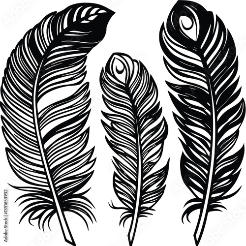 Feathers silhouette set vector image (34).eps