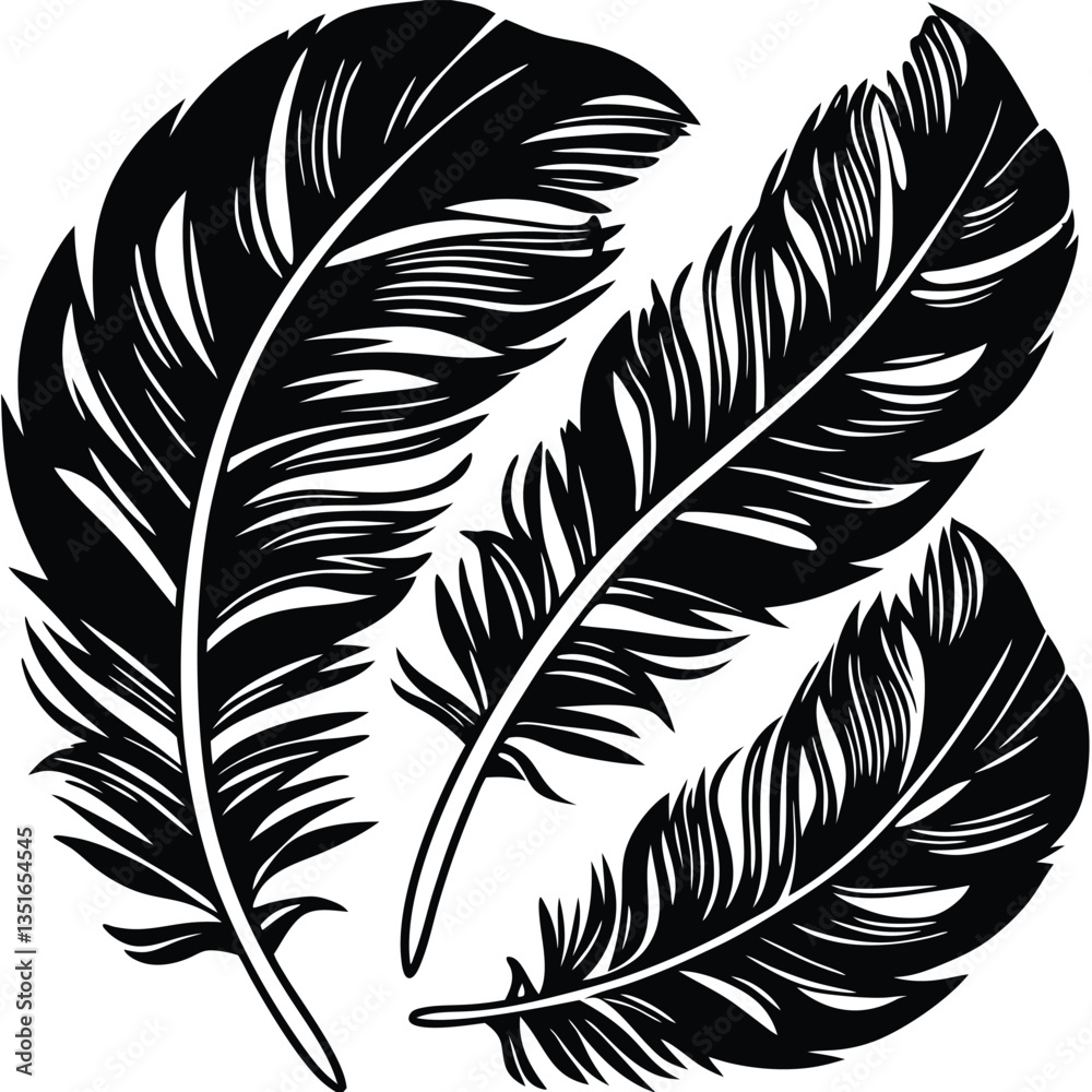 Obraz premium Feathers silhouette set vector image (35).eps