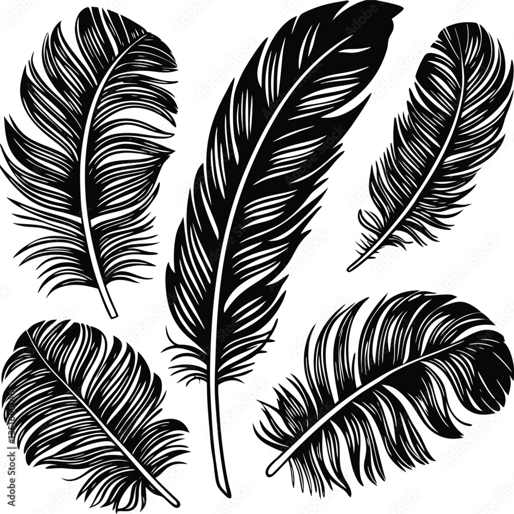 Naklejka premium Feathers silhouette set vector image (6).eps