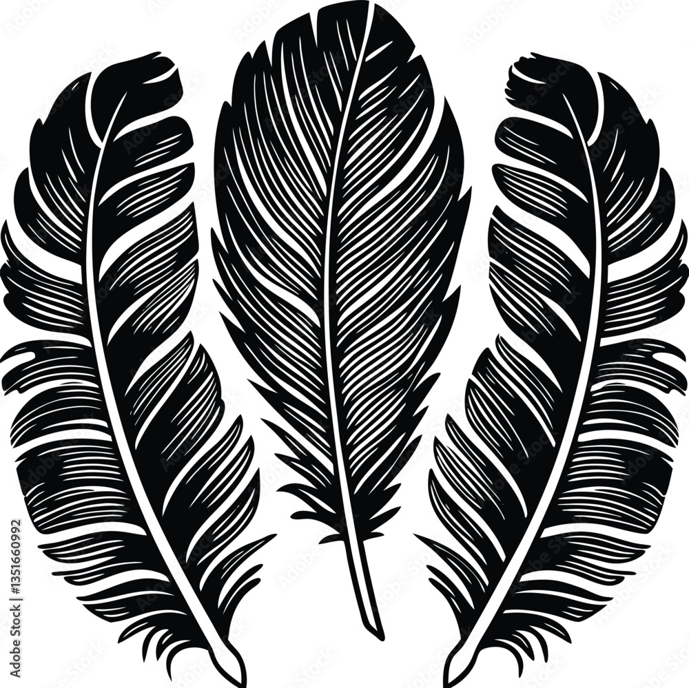 Obraz premium Feathers silhouette set vector image (17).eps