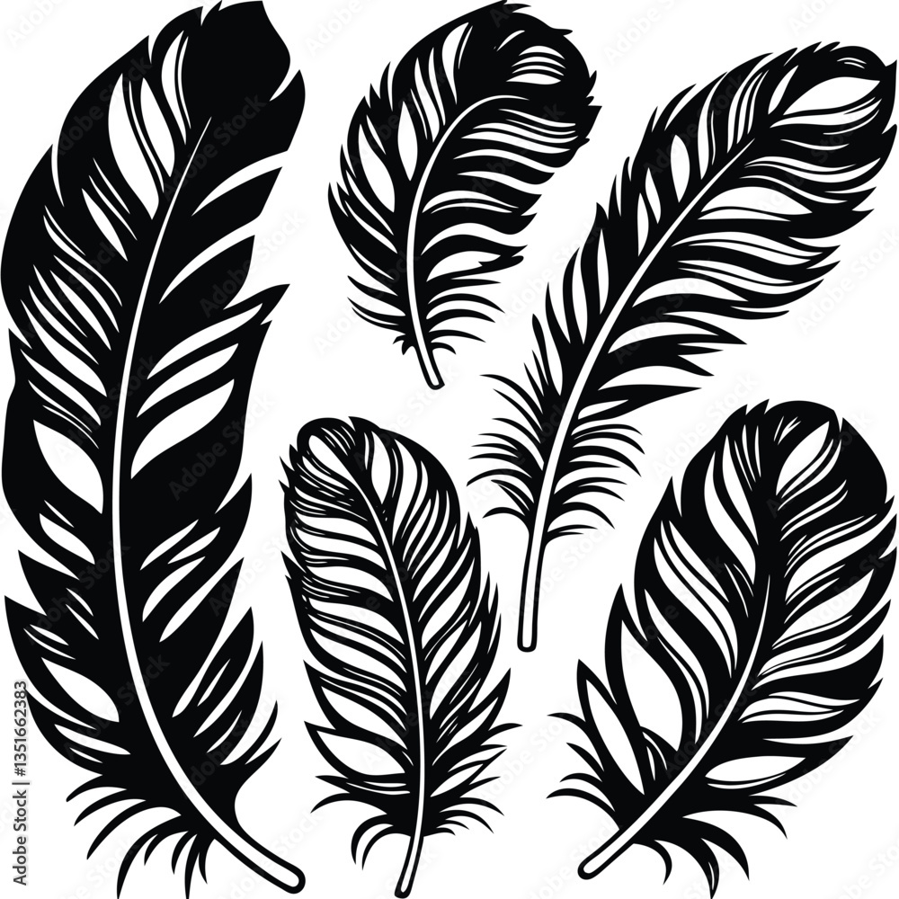 Obraz premium Feathers silhouette set vector image (21).eps
