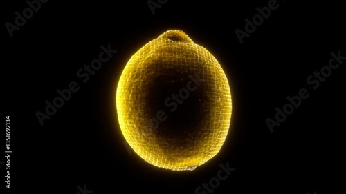 Holographic Endless Loop of a Rotating Lemon in 4K