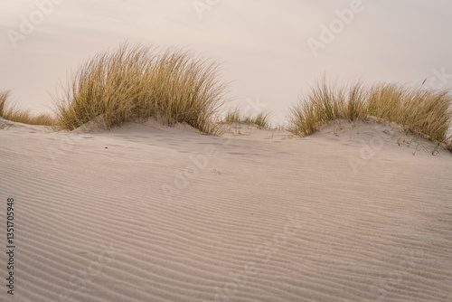 Fototapeta Naklejka Na Ścianę i Meble -  Duinen at the sea