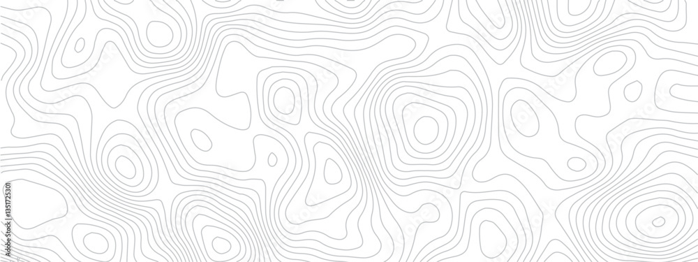 Fototapeta premium Topographical Landscape Design with Geometric Lines and Grids Mapping Technology, Sea Maps, and Area Spaces in a Modern Pattern 