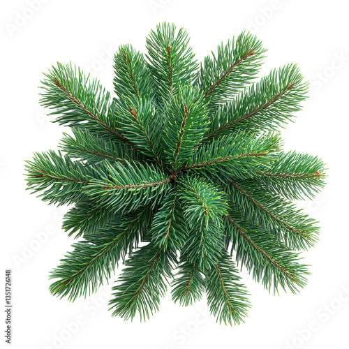 christmas fir tree decoration top view isolated on transparent background, PNG
