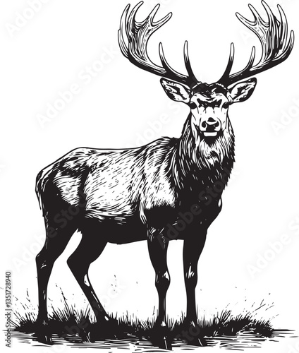 Deer wild animal antlers vector illustration