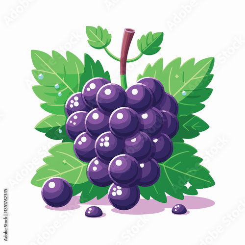 fruit, fresh, vine, background, grape, food, wine, juicy, healthy, isolated, harvest, white, leaf, ripe, sweet, berry, branch, bunch, grapes, juice, vineyard, green, grapevine, nature, organic, natura