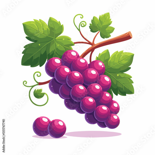 fruit, fresh, vine, background, grape, food, wine, juicy, healthy, isolated, harvest, white, leaf, ripe, sweet, berry, branch, bunch, grapes, juice, vineyard, green, grapevine, nature, organic, natura
