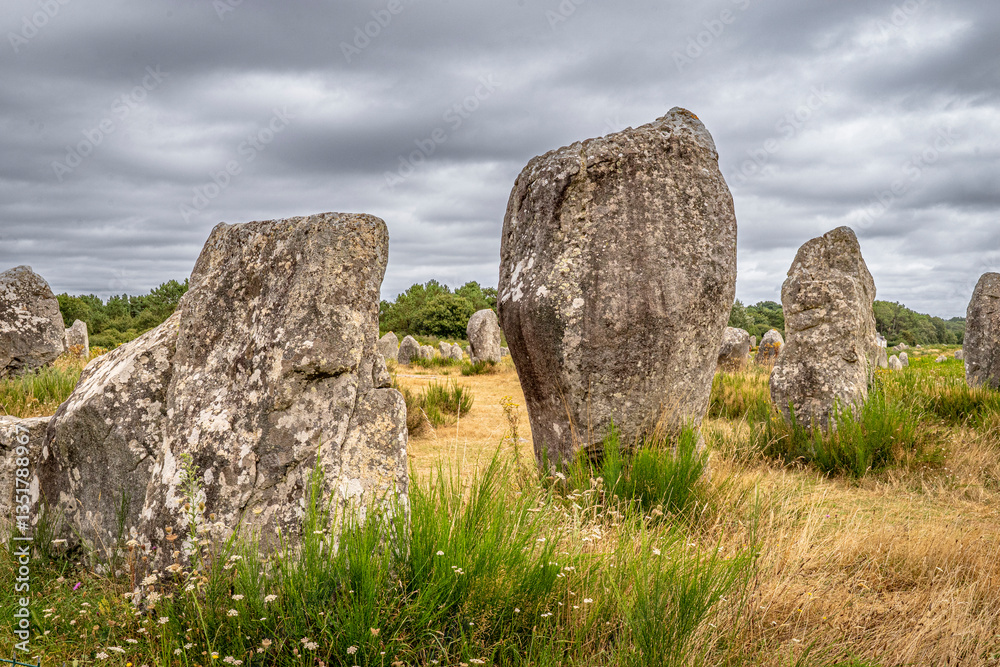 Menhirs in Carnac, France Menhirs in Carnac, France