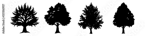 Fotografía yew tree icon, yew tree silhouette vector illustration-simple silhouette illustr