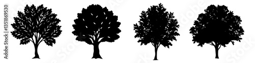 elm tree icon, elm tree silhouette vector illustration-simple silhouette illustration of elm tree, perfect for elm tree logos and icons