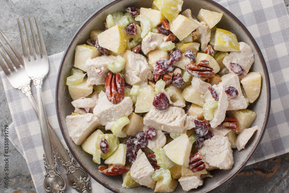 Fruity chicken salad with celery, apple, pecan and dried cranberries close-up in a bowl on the table. Horizontal top view from above