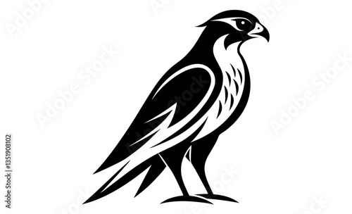 Falcon silhouette, black bird vector illustration