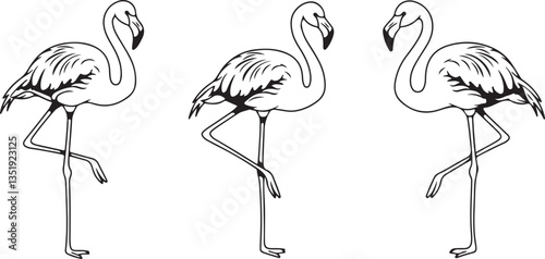 Flamingo Icons, Perfect for Nature and Tropical Themes - Flat Vector Illustration
