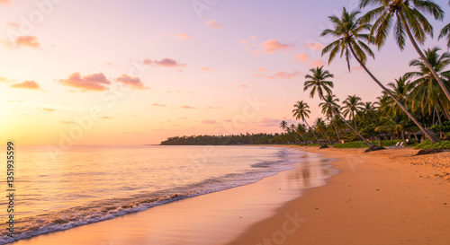 Sunset over a tropical beach with palm trees