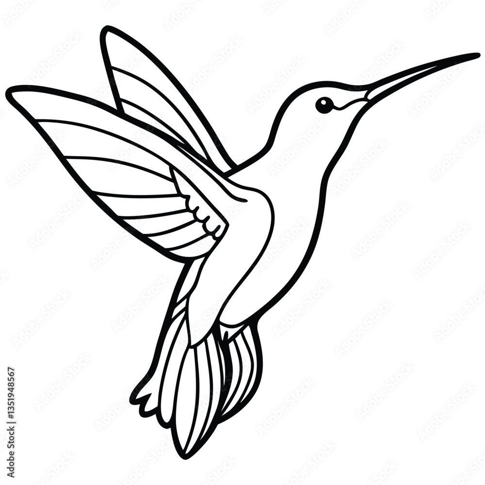 Fototapeta premium Hummingbird isolated on white background