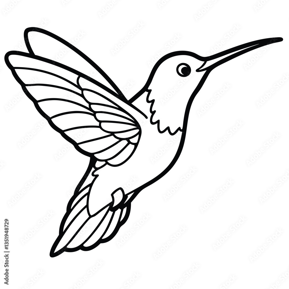 Obraz premium Hummingbird isolated on white background