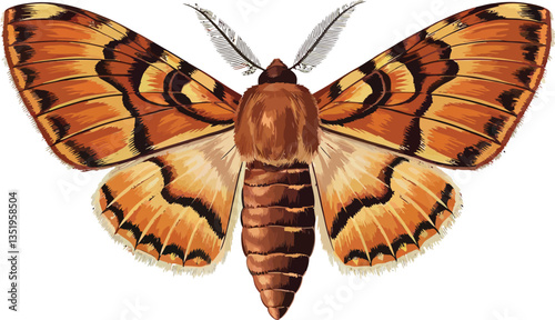 Cute cartoon moth on white background