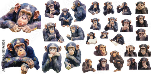 Photography Chimpanzee  watercolor clipart