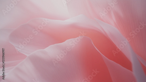 Close-up macro photos of delicate flower petals with soft pastel tones
