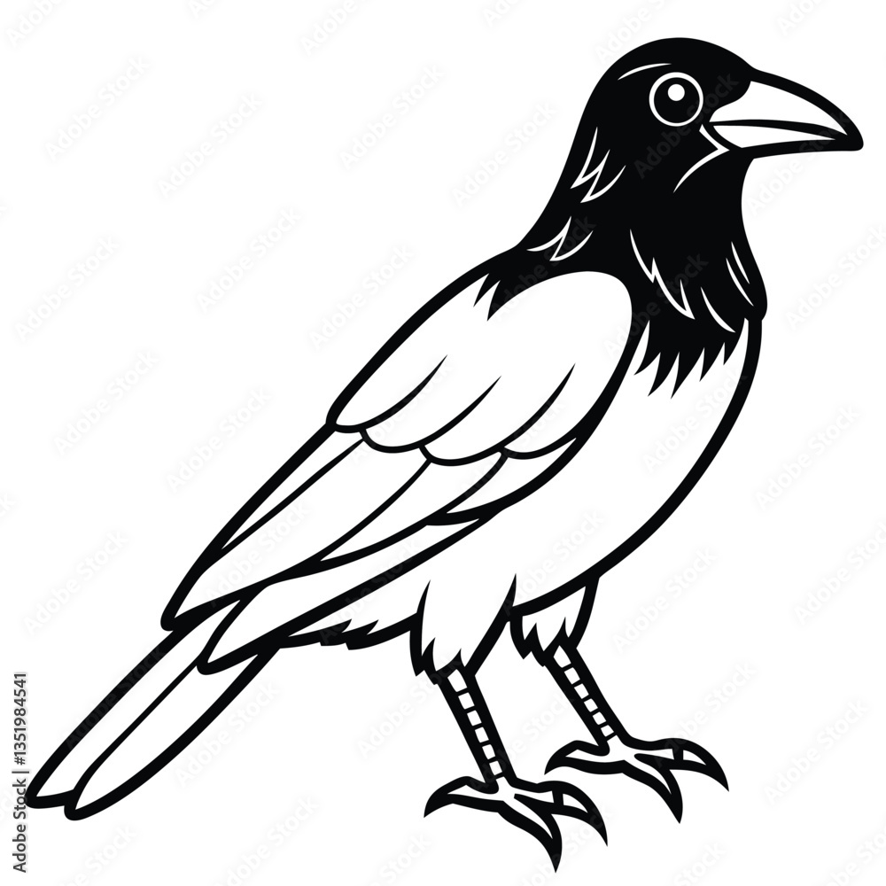 Obraz premium Crow isolated on white background