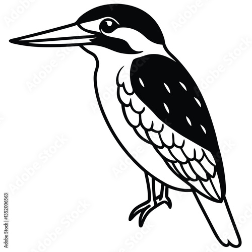 Common kingfisher isolated on white background