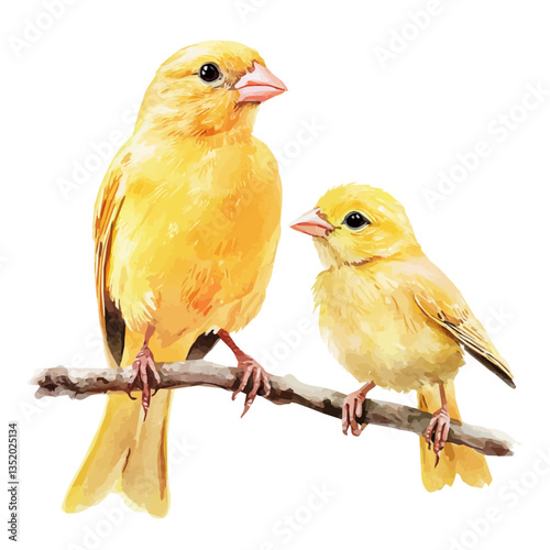 A watercolor vector painting of a mother canary with her kid, isolated on a white background.

