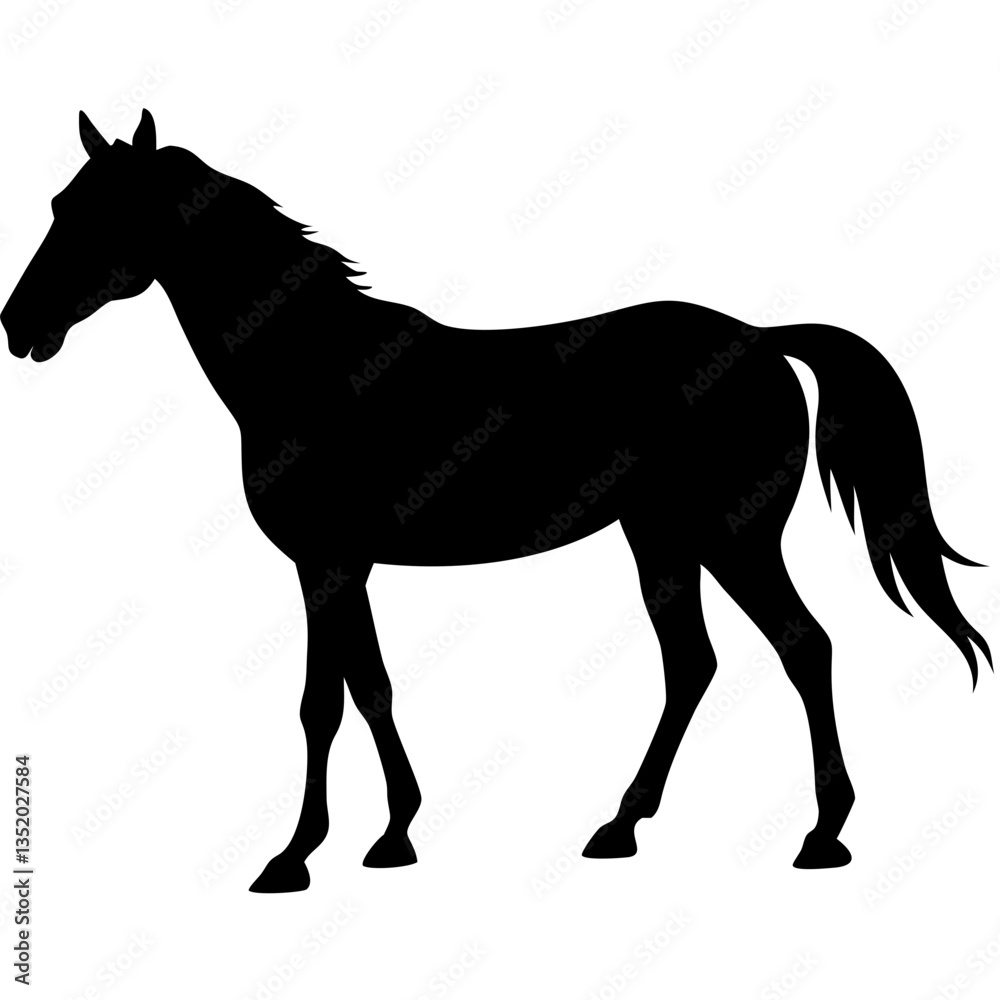 Obraz premium Silhouette Horse Vector Art for Tattoo and Design Projects