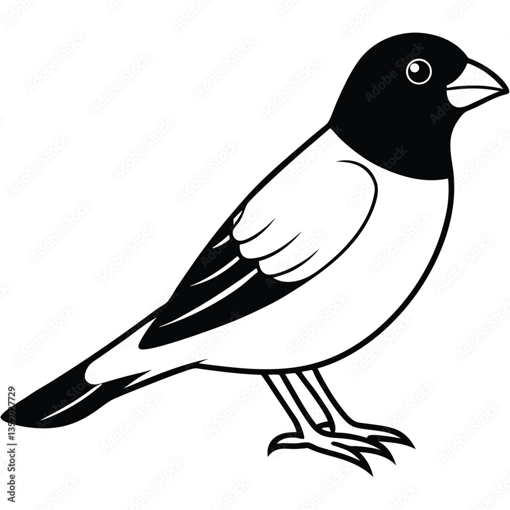 Fototapeta premium Eurasian bullfinch isolated on white background