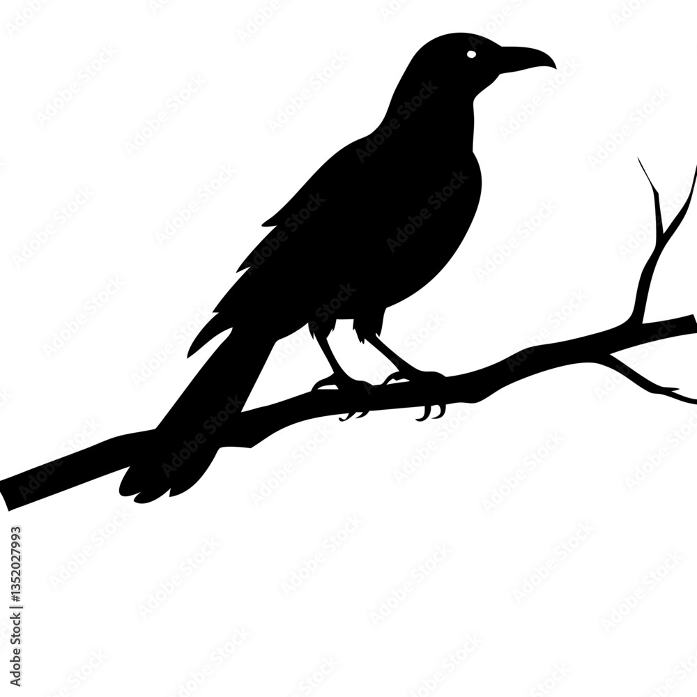 Obraz premium Raven Silhouette Perched on Branch Vector for Tattoos and Art Designs