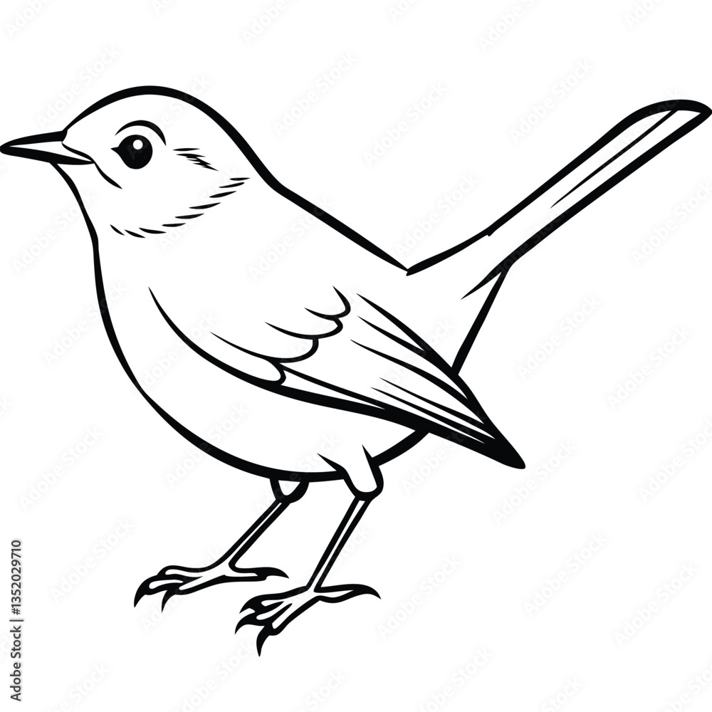 Obraz premium Japanese bush warbler isolated on white background