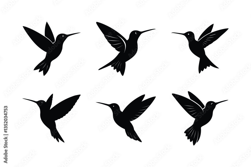 Fototapeta premium hummingbird hovering vector silhouette design