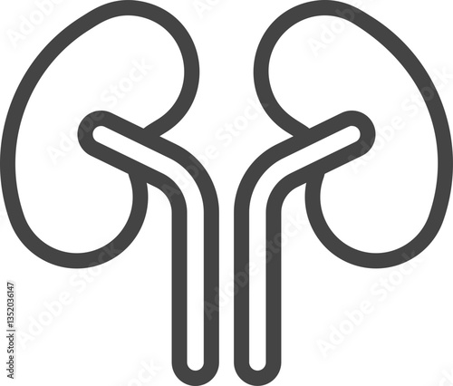 Kidneys